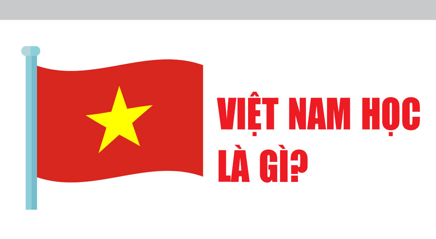 Việt Nam học là gì?